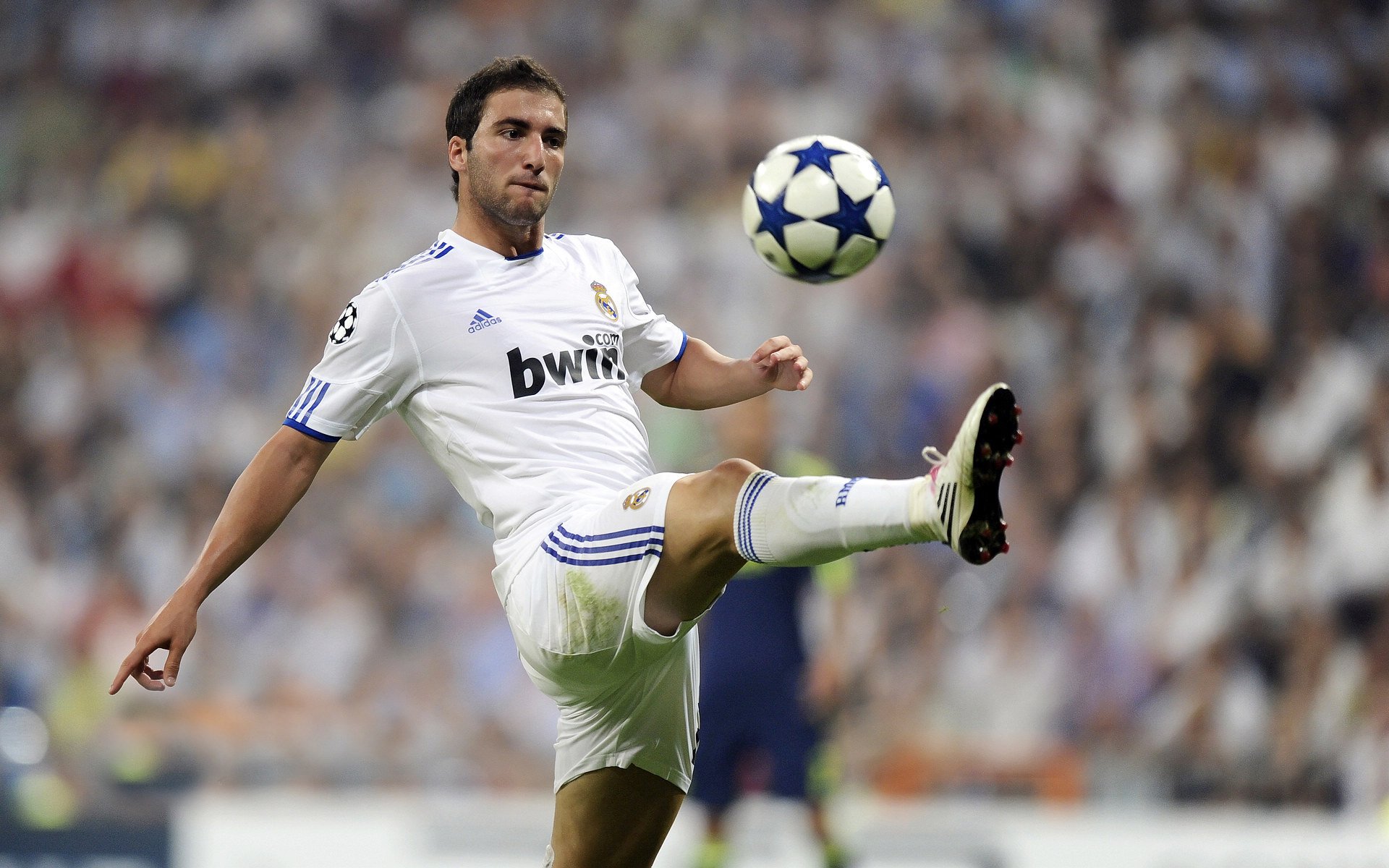 NBA球队球员培养规划,nba球员怎么规划锻炼和训练