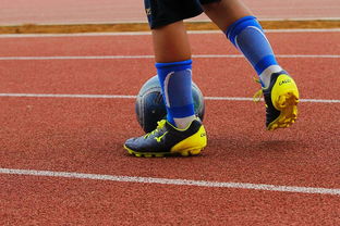 开云中国-中国青少年篮球运动员身体机能发展研究，我国篮球青少年运动发展现状